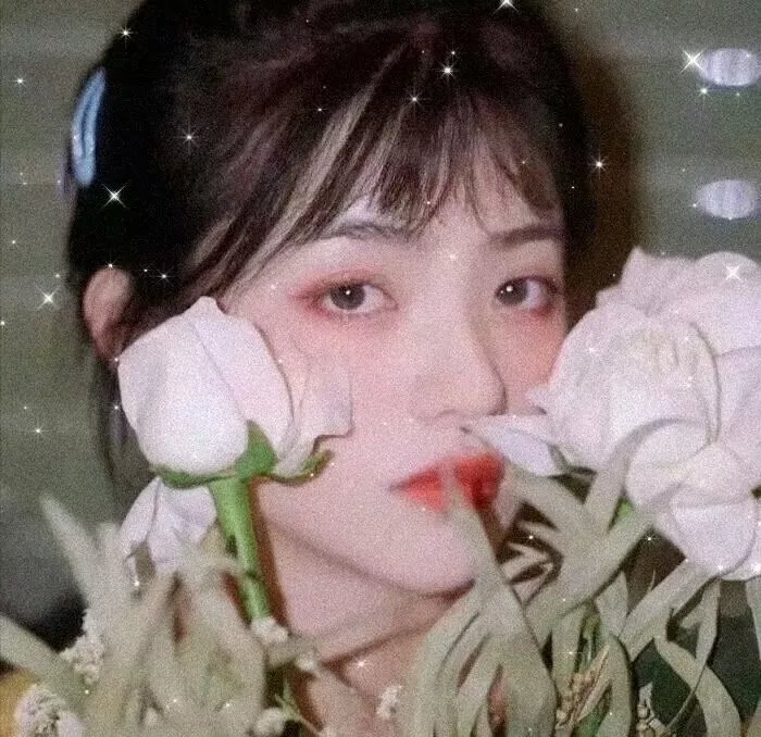 骑士的手套